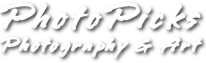 PhotoPicks Photography & Art
